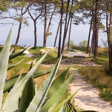 Calvi Ξενοδοχείο