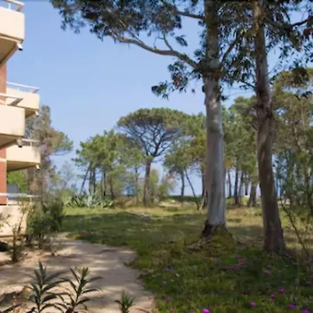 Ξενοδοχείο Calvi Καλβί