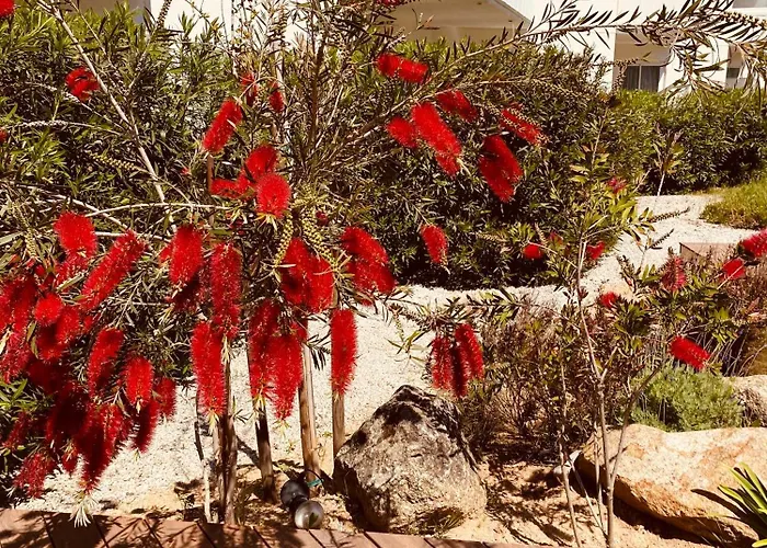 Calvi 3* Calvi (Corsica)