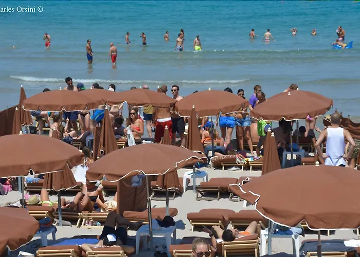 Hotel Calvi Calvi (Corsica)