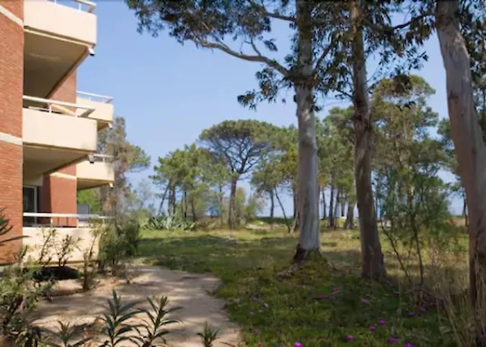 Hotel Calvi Calvi (Corsica)