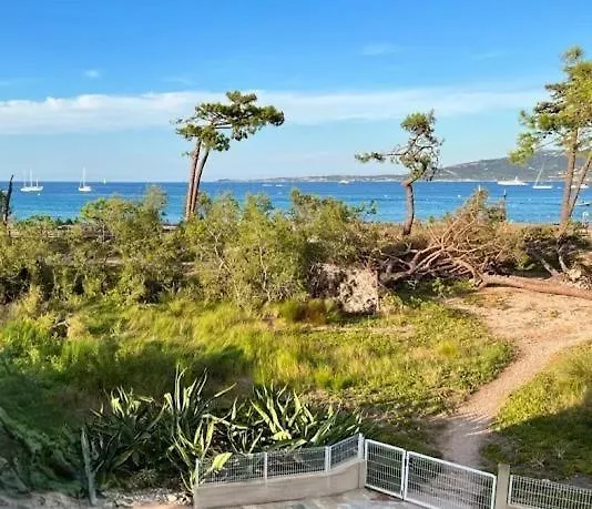 Calvi 3* Calvi (Corsica)