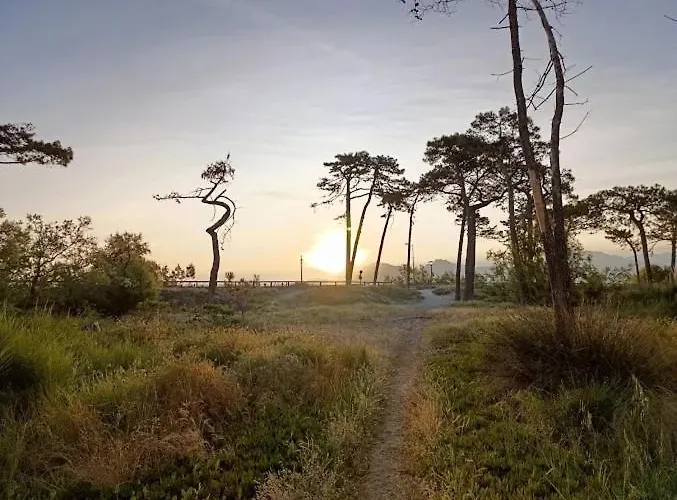 Calvi Hotel Calvi (Corsica)
